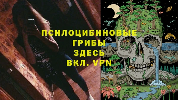 a pvp Медвежьегорск